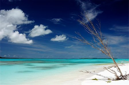 simsearch:400-03991814,k - idyllic beach in New Caledonia Stock Photo - Budget Royalty-Free & Subscription, Code: 400-04285967