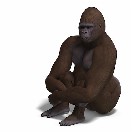 gorilla sitting anf waiting. 3D rendering with clipping path and shadow over white Stock Photo - Budget Royalty-Free & Subscription, Code: 400-04289002