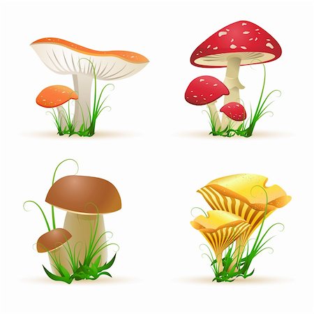 illustration of different mushroom trees on white background Stock Photo - Budget Royalty-Free & Subscription, Code: 400-04289927