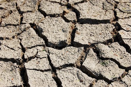 dry and cracked soil in hot summer on a farm Stock Photo - Budget Royalty-Free & Subscription, Code: 400-04280391