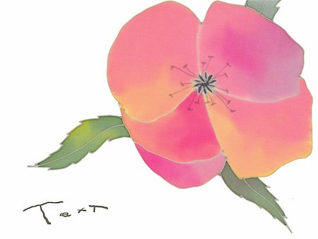 simsearch:400-04776674,k - batik poppy isolated over white background card Stock Photo - Budget Royalty-Free & Subscription, Code: 400-04282218