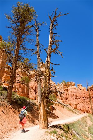 famous sandstone landscapes - A woman is hiking through Bruce Canyon in Utah Stock Photo - Budget Royalty-Free & Subscription, Code: 400-04282902