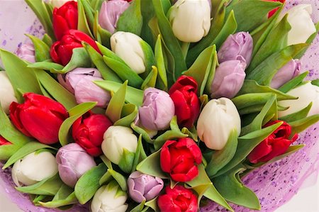 simsearch:400-04808821,k - beautiful bouquet of tulips, different colors Foto de stock - Super Valor sin royalties y Suscripción, Código: 400-04294613