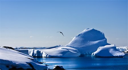 simsearch:400-04299237,k - Antarctic iceberg in the snow Stock Photo - Budget Royalty-Free & Subscription, Code: 400-04299240