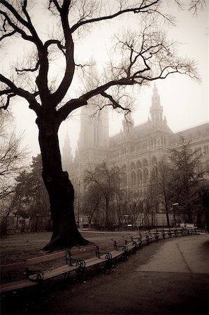 simsearch:400-07681663,k - Tree in front of the city hall building of Vienna, Austria Stock Photo - Budget Royalty-Free & Subscription, Code: 400-04291676