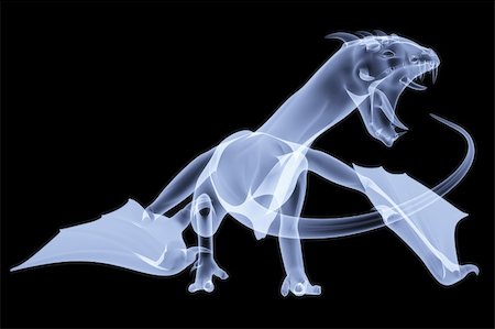 the body of the dragon under the X-rays. 3d image. Stock Photo - Budget Royalty-Free & Subscription, Code: 400-04291726