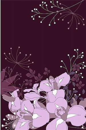 simsearch:400-05364550,k - Dark floral background with contour irises and plants Photographie de stock - Aubaine LD & Abonnement, Code: 400-04304885