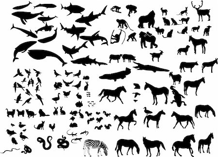 simsearch:400-04280168,k - collection of animals silhouette - vector Stock Photo - Budget Royalty-Free & Subscription, Code: 400-04304996