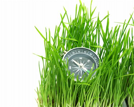 simsearch:400-05362449,k - compass in green grass isolated on white Stock Photo - Budget Royalty-Free & Subscription, Code: 400-04305982