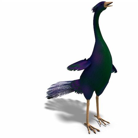 phasianidae - blue fantasy bird with beautiful feathers. 3D rendering with clipping path and shadow over white Stock Photo - Budget Royalty-Free & Subscription, Code: 400-04309318