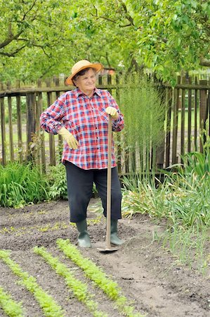 Senior woman gardening Stock Photo - Budget Royalty-Free & Subscription, Code: 400-04300211