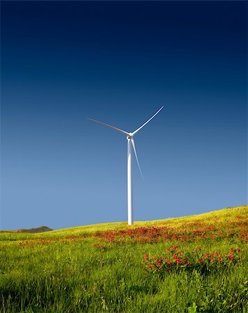 simsearch:400-05319608,k - Beautiful green meadow with a wind turbine generating electricity Stock Photo - Budget Royalty-Free & Subscription, Code: 400-04303267