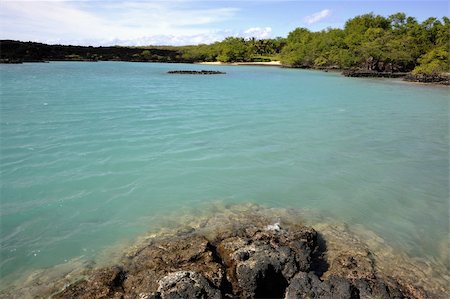 pic palm tree beach big island - Tropical coast. Coast covered with a lava at transparent water of silent ocean. Stock Photo - Budget Royalty-Free & Subscription, Code: 400-04314715