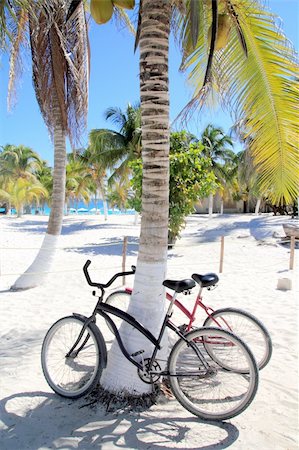 simsearch:400-04329339,k - bicycles bike on coconut palm tree caribbean beach background Stock Photo - Budget Royalty-Free & Subscription, Code: 400-04315014