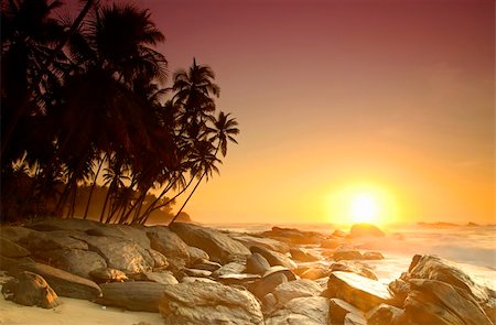 simsearch:400-05745636,k - Beautiful colorful sunrise over sea and boulders seen under the palms on Sri Lanka Stock Photo - Budget Royalty-Free & Subscription, Code: 400-04315170