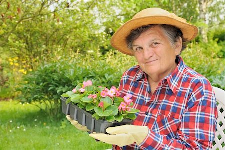 Senior woman - gardening Stock Photo - Budget Royalty-Free & Subscription, Code: 400-04315780