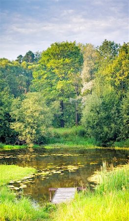 simsearch:400-06408905,k - Landscape with small forest river at sunny summer evening Stock Photo - Budget Royalty-Free & Subscription, Code: 400-04316940