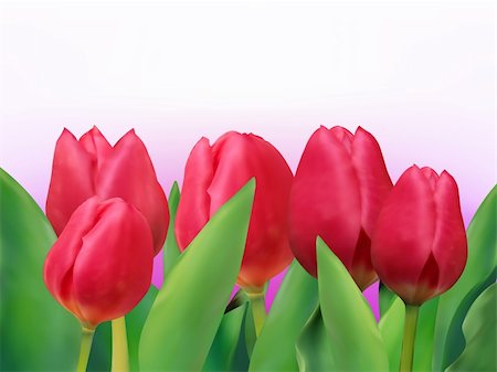 simsearch:400-04808821,k - Colorful tulips bouquet template card. EPS 8 vector file included Foto de stock - Super Valor sin royalties y Suscripción, Código: 400-04312100
