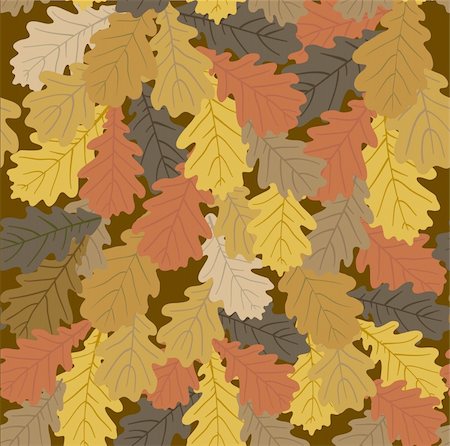 fall winter spring summer nature colors - Leaves Pattern Photographie de stock - Aubaine LD & Abonnement, Code: 400-04312926