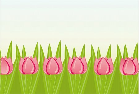 simsearch:400-04330288,k - colorful tulips background Stock Photo - Budget Royalty-Free & Subscription, Code: 400-04324175