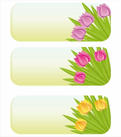 simsearch:400-04330288,k - set of 3 spring banners with tulips Stock Photo - Budget Royalty-Free & Subscription, Code: 400-04324350
