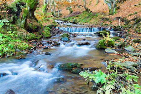 simsearch:400-05890122,k - Rocky Stream, Running Through Autumn Mountain Forest Stock Photo - Budget Royalty-Free & Subscription, Code: 400-04327395