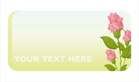 simsearch:400-04330288,k - beautiful roses banner Stock Photo - Budget Royalty-Free & Subscription, Code: 400-04327656