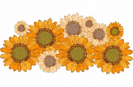 simsearch:400-05671297,k - beautiful yellow Sunflower border Stock Photo - Budget Royalty-Free & Subscription, Code: 400-04320292