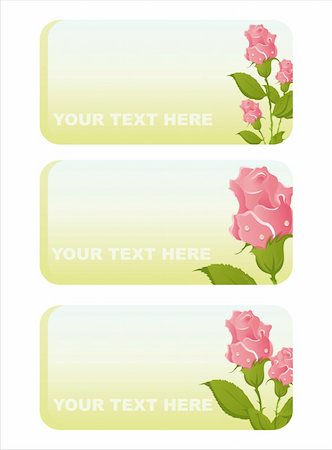 simsearch:400-04330288,k - set of 3  beautiful roses banners Stock Photo - Budget Royalty-Free & Subscription, Code: 400-04338125