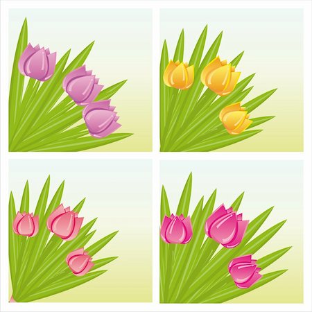 simsearch:400-04330288,k - set of 4 colorful tulips backgrounds Stock Photo - Budget Royalty-Free & Subscription, Code: 400-04339203