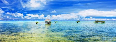 simsearch:400-04418173,k - Panorama of tropical lagoon. Bohol. Philippines Stock Photo - Budget Royalty-Free & Subscription, Code: 400-04339277