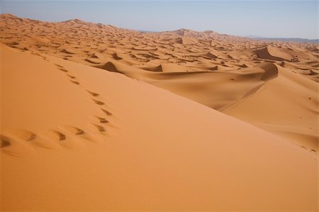 saharan - Desert dunes in Morocco Stock Photo - Budget Royalty-Free & Subscription, Code: 400-04339941