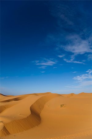 saharan - Desert dunes in Morocco Stock Photo - Budget Royalty-Free & Subscription, Code: 400-04339996