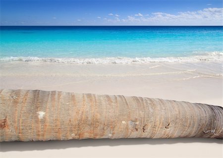 simsearch:400-04329339,k - coconut palm tree trunk lying on turquoise beach sand Stock Photo - Budget Royalty-Free & Subscription, Code: 400-04330470