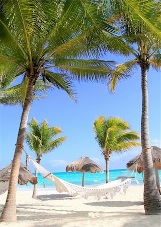 Caribbean beach hammock and palm trees in Mayan Riviera Mexico Stock Photo - Budget Royalty-Free & Subscription, Code: 400-04330491