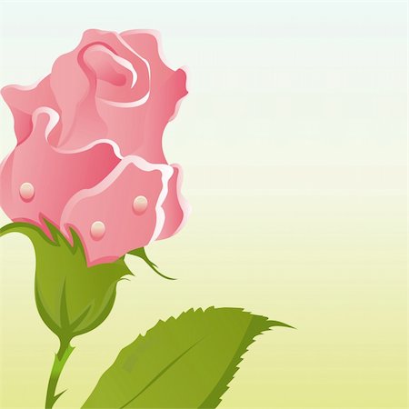 simsearch:400-04330288,k - beautiful roses background Stock Photo - Budget Royalty-Free & Subscription, Code: 400-04330887