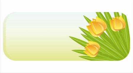 simsearch:400-04330288,k - spring banner with bunch of tulips Stock Photo - Budget Royalty-Free & Subscription, Code: 400-04331303