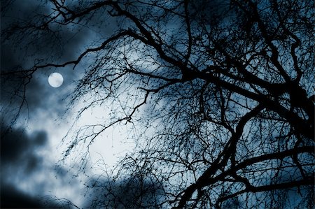 dark moon with clouds - Scary dark scenery with naked trees, full moon and clouds Stock Photo - Budget Royalty-Free & Subscription, Code: 400-04332729