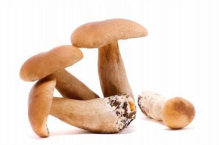 simsearch:400-04766599,k - Four ceps lying on each other isolated on white Stock Photo - Budget Royalty-Free & Subscription, Code: 400-04333933