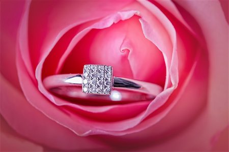 Close-up of pink rose with diamond ring Photographie de stock - Aubaine LD & Abonnement, Code: 400-04344370