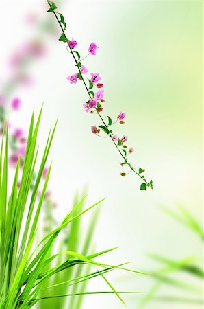 pink flower and fresh grass Photographie de stock - Aubaine LD & Abonnement, Code: 400-04344605