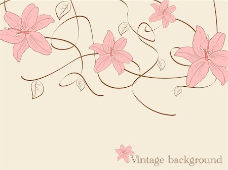 Vector pictures with  lilia flowers Stock Photo - Budget Royalty-Free & Subscription, Code: 400-04346333