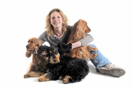 english cocker-spaniel - portrait of a  purebred english cockers and woman in a studio Stock Photo - Budget Royalty-Free & Subscription, Code: 400-04347105