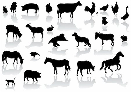 sheep vectors - vector illustration of farm animals silhouettes with reflection Stock Photo - Budget Royalty-Free & Subscription, Code: 400-04348052