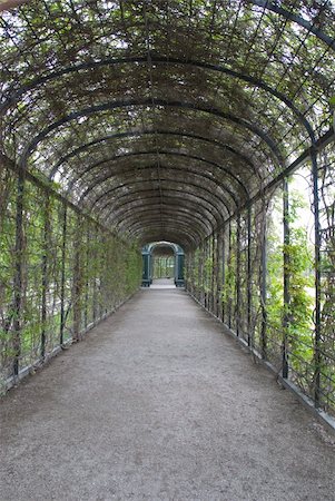 Garden Entrance in Schoenbrunn Castle, Vienna Stock Photo - Budget Royalty-Free & Subscription, Code: 400-04348637