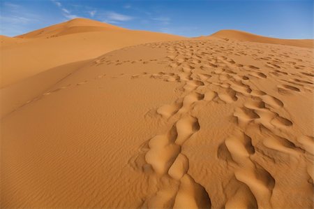 saharan - Desert dunes in Morocco Stock Photo - Budget Royalty-Free & Subscription, Code: 400-04340040