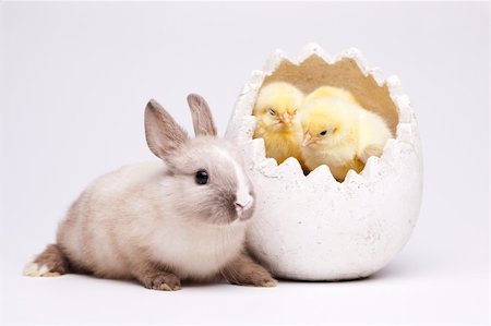 Happy Easter Stock Photo - Budget Royalty-Free & Subscription, Code: 400-04340151