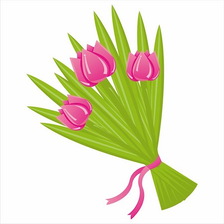 simsearch:400-04330288,k - bunch of tulips isolated on white Stock Photo - Budget Royalty-Free & Subscription, Code: 400-04342445