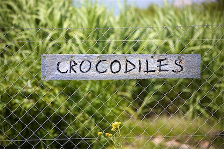 simsearch:400-04434649,k - Crocodiles signboard in Harnas foundation namibia Stock Photo - Budget Royalty-Free & Subscription, Code: 400-04343512