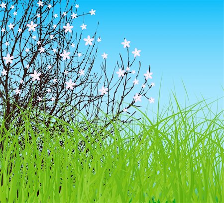 simsearch:700-02265197,k - vector tree with flower at spring green field and blue sky Stock Photo - Budget Royalty-Free & Subscription, Code: 400-04355377